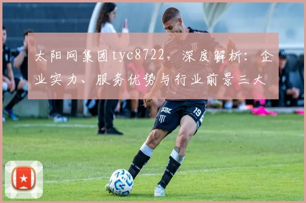 太阳网集团tyc8722，深度解析：企业实力、服务优势与行业前景三大亮点